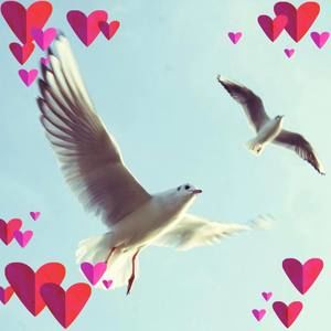 Meet your Posher, Etta s.